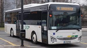 Avtobus LPP-Borovnica