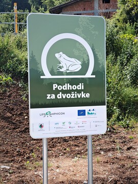 Regionalka - tabla - dvoživke