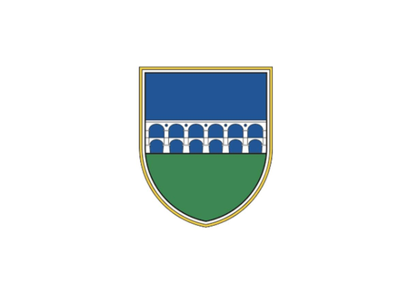 Občina Borovnica