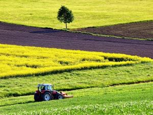 Simbolična fotografija: Agrikultura