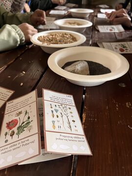 Koliscarska-delavnica-za-ucence-OS-Ig.-Foto-Jasna-Tarman-scaled