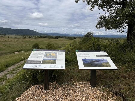 Razgled-na-Goriski-mah-foto-Jasna-Tarman-_2c936ad031